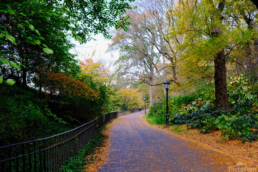 Autumn Stroll  Print