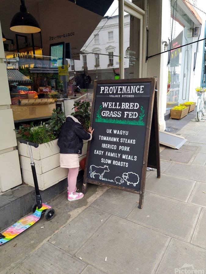 Well Bred Provenance  Print