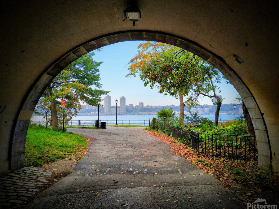  Into Autumn Light  Print