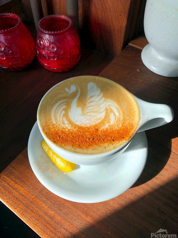 Shadow Swan Take Flight  Print