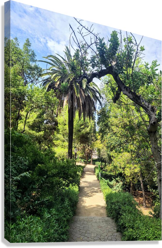 Path to the Palms Canvas Print