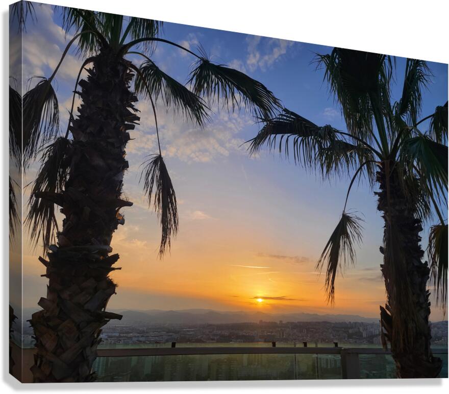 Between Palms and Possibility Canvas Print