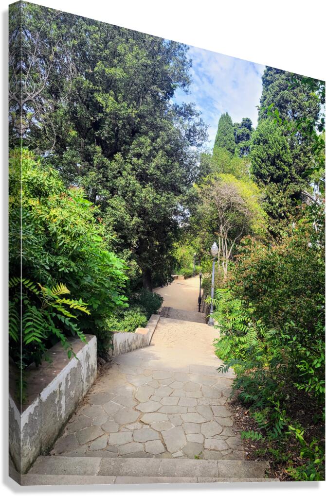 The Pause in the Path Canvas Print