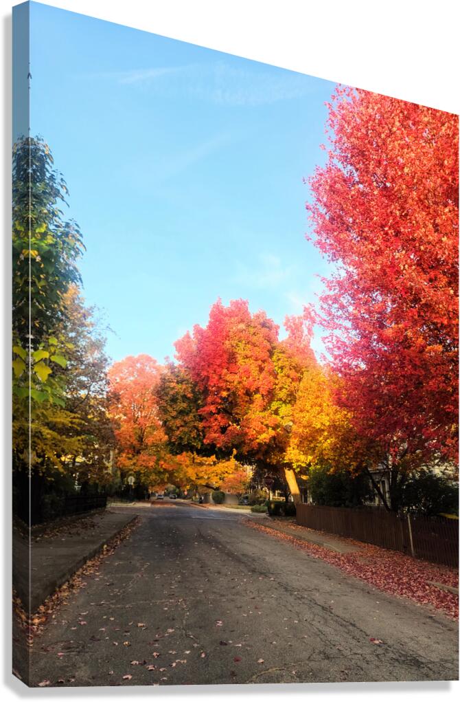 Fall Over the Fence Canvas Print