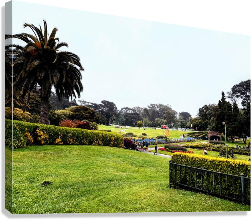 Civic Eden: The Park Awakens Canvas Print