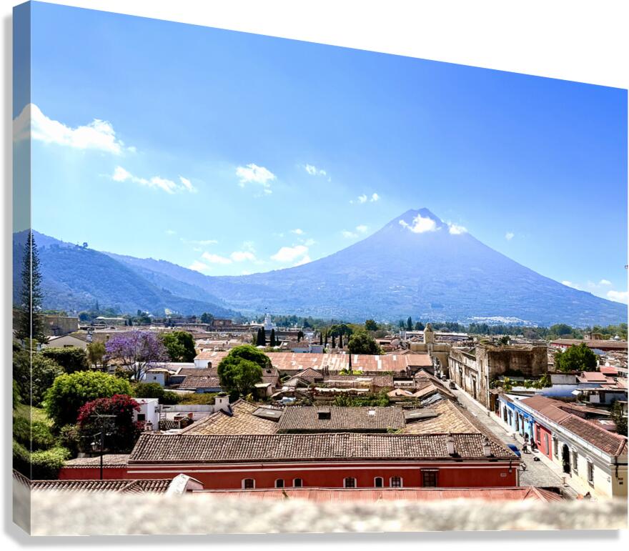 IMG 0157 Canvas Print