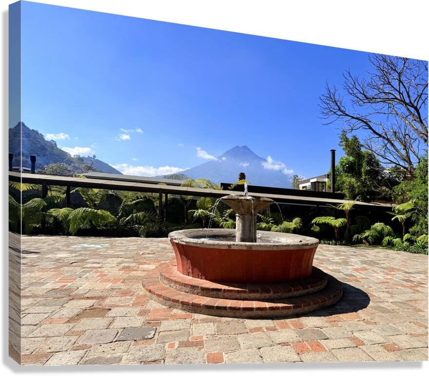 IMG 0033 Canvas Print