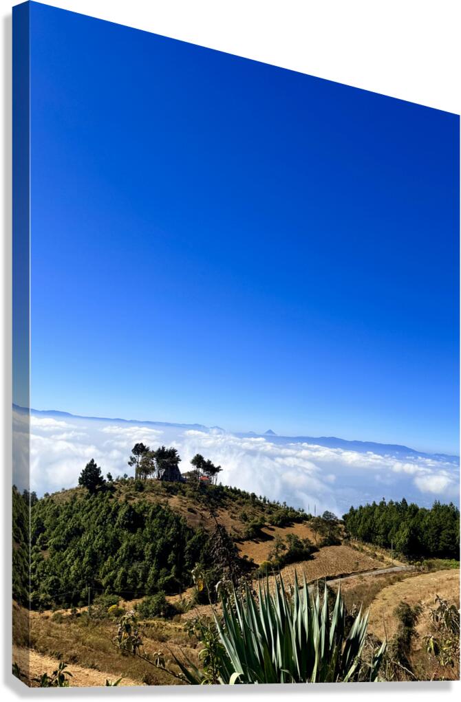 IMG 9129 Canvas Print