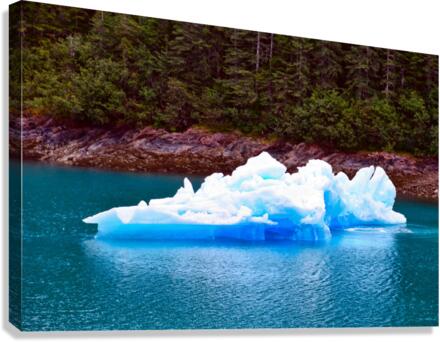 No Man is an Island Iceberg Canvas Print