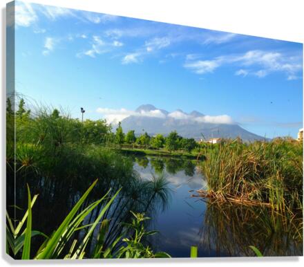 Out of Africa 2 Canvas Print