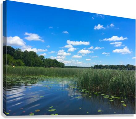 Blue By You Canvas Print