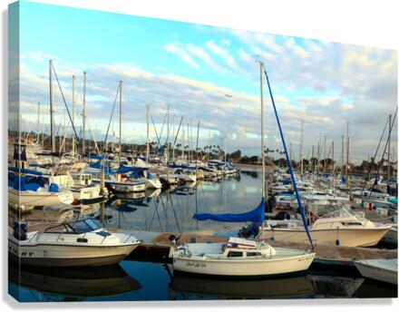 Sea of Boats B Canvas Print