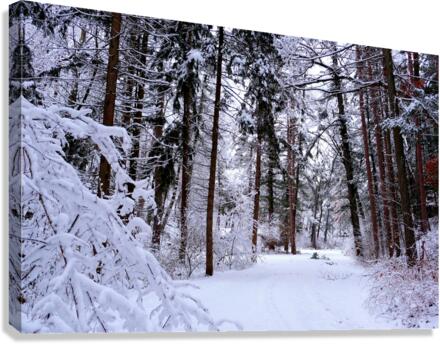 Winterscape Canvas Print