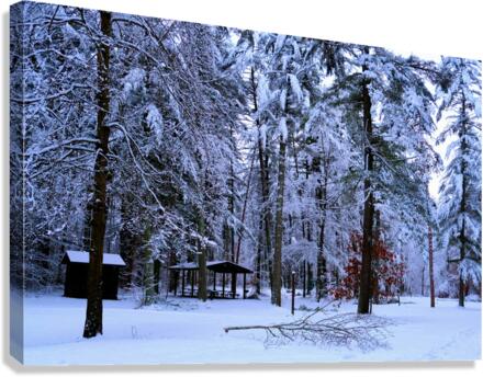 Winter Wonderland 2 Canvas Print