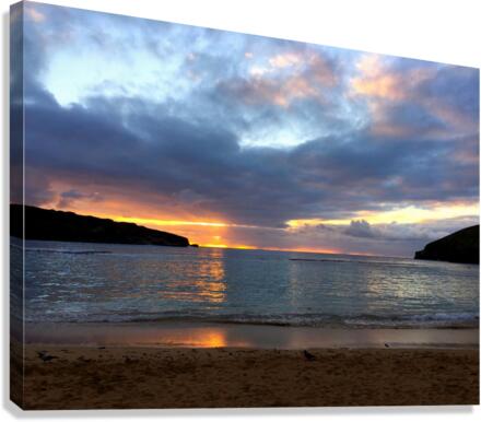 Paradise Found Canvas Print