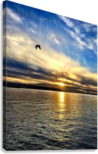 Flying Over the Edgewater Canvas Print