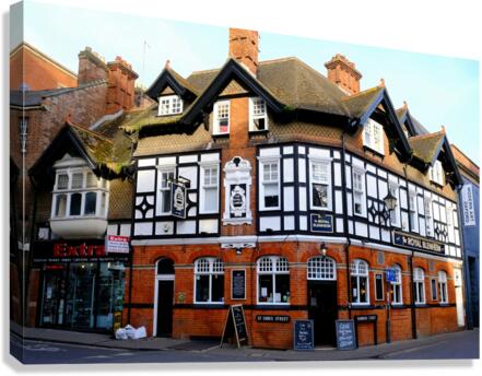 Royal Blenheim  Canvas Print