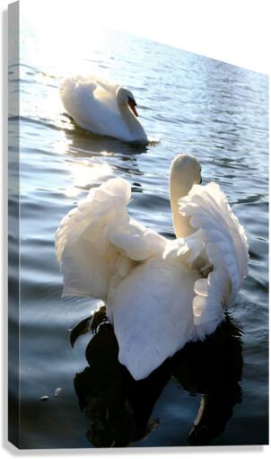 Behind Wings of Love 1A Canvas Print