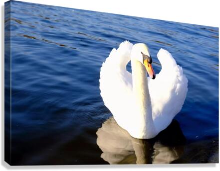 Wings of Love 2 Canvas Print