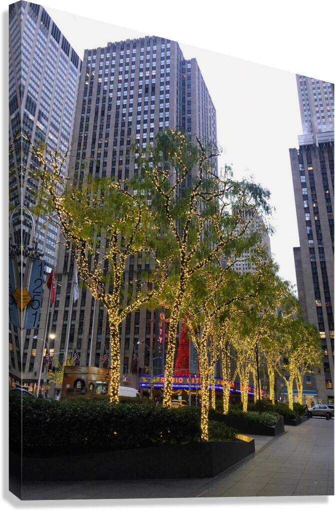 Hello New York  Canvas Print