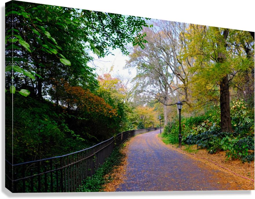 Autumn Stroll Canvas Print