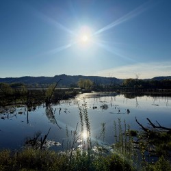 Reflections of La Crosse 2B- Reflecting the brilliance of a new day
