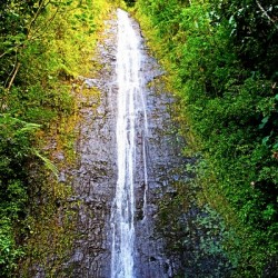 Falling for Colors B