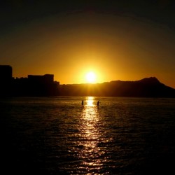 Paddle Board Sunrise