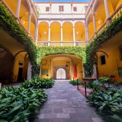  Solitude in Sunlight