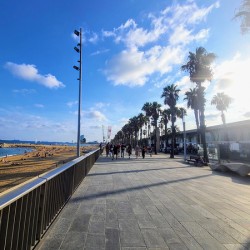 Barcelona Beach: Steps Toward Solace