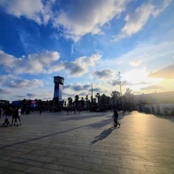 Where Light Finds the Silence