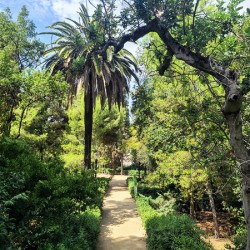 Path to the Palms