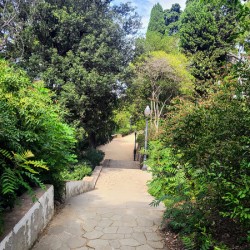 The Pause in the Path