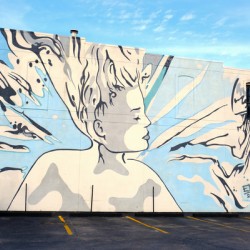 Wall of Beauty Mural