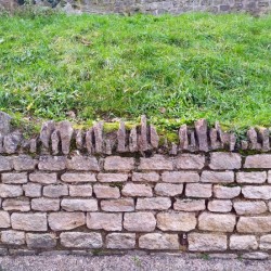 Barbed Stone Wall