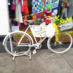 The West Village Bike