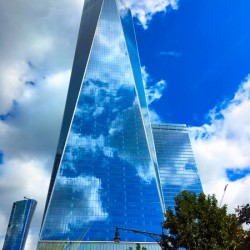 Reflection of Freedom