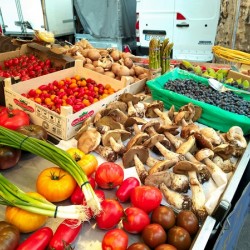 Farmers Market -- Vegetables 2