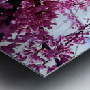 IMG 1517 Metal print