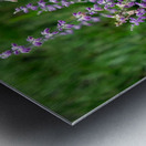 Towers of Lavender Metal print