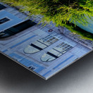 Ducking the Tourists Metal print