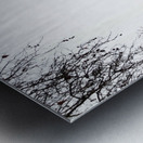 London Bridge  2B Metal print