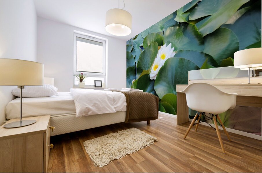 Peeping Beauty Water Lily: Harmony in the Hidden Bloom Mural print