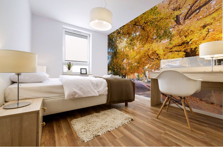 Fall Over the Road Mural print