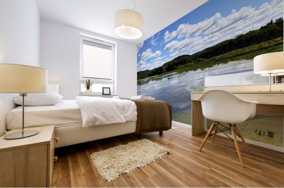 Sky Echoes Mural print