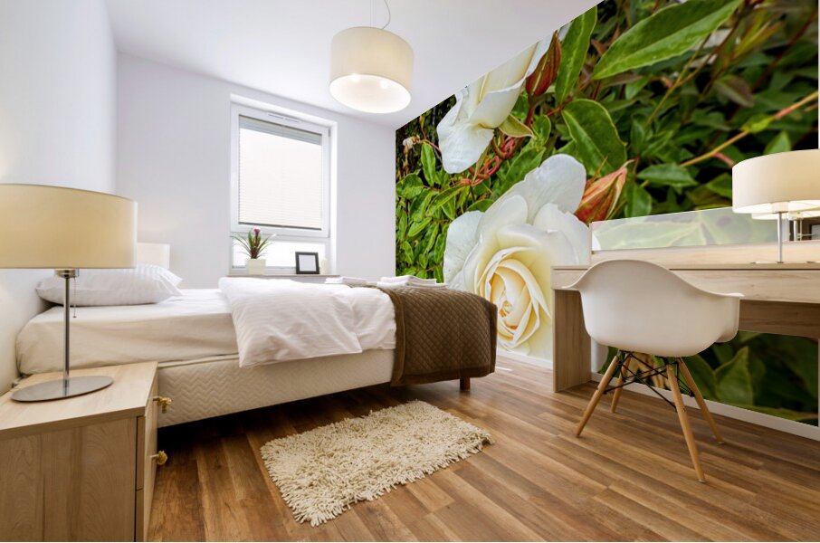 White Rose: Porcelain Breeze Mural print