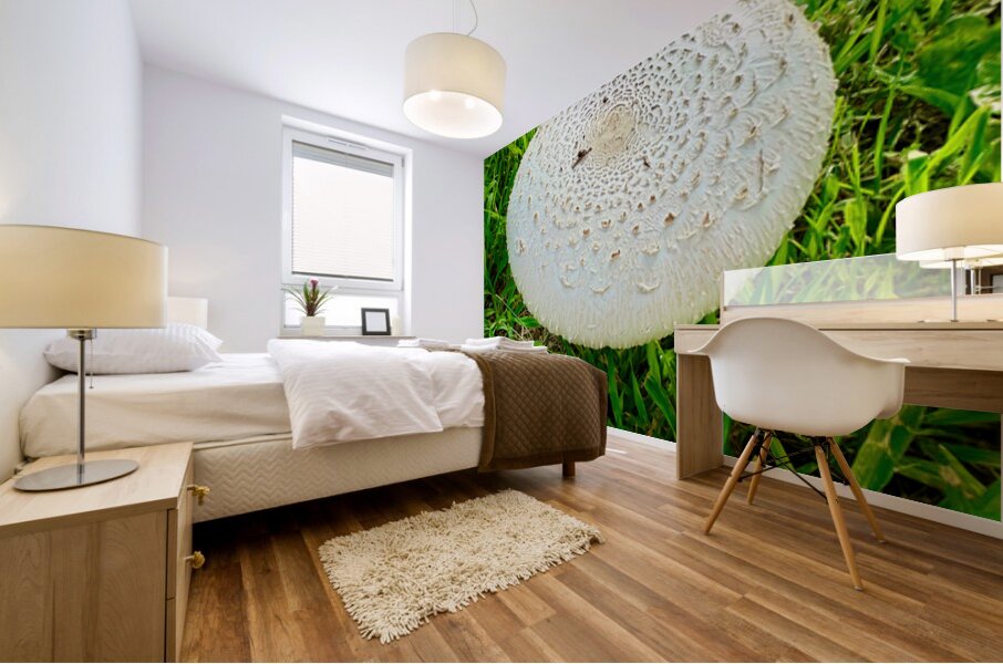 Fungal Solar Disc Mural print