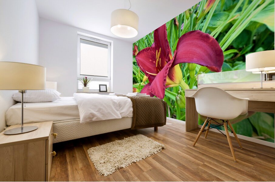 Royal Daylily Portrait Mural print