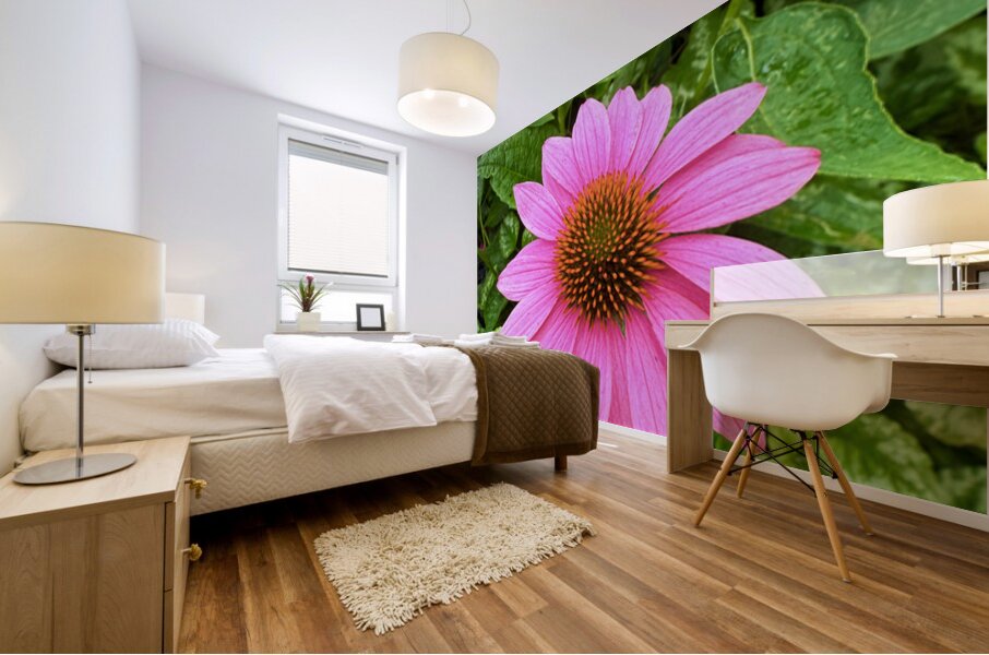 Pink Serenity Mural print