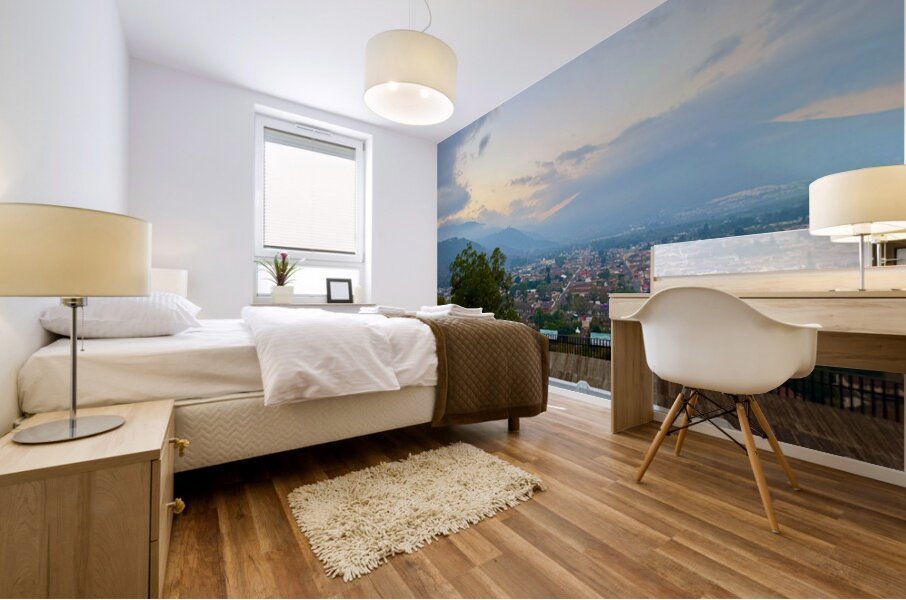 IMG 0460 Mural print